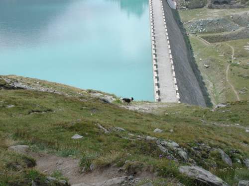 Foto di elio